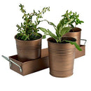 Artland Masonware Picnic Caddy & Planter Set, Galvanized