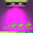 50W LED Plant Grow Lights, Shengsite UFO 250 LEDs Indoor Plants Growing Lamp with Red Blue Spectrum,Hydroponics Growth Light for Seedling,Vegetative&Flowering