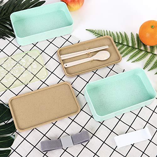 Buringer Lunch Bento Box Food Storage 2 Square Containers for Adults School Work Wheat Grass BPA Free Leak Proof with Chopsticks and Spoon (Long Khaki)