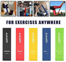 Letsfit Resistance Loop Bands, Resistance Exercise Bands for Home Fitness, Stretching, Strength Training, Physical Therapy, Natural Latex Workout Bands, Pilates Flexbands, 12" x 2"