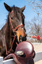 Bickmore Saddle Soap Plus - Leather Cleaner & Conditioner with Lanolin - Restorer, Moisturizer, and Protector