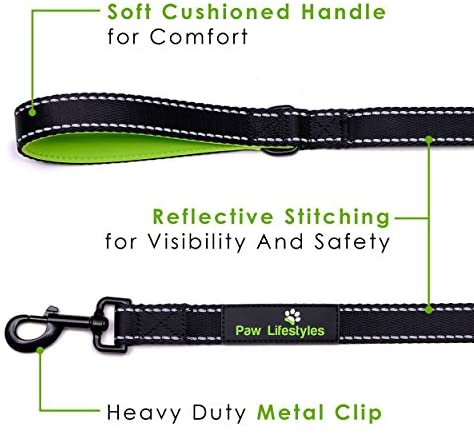 Paw Lifestyles Extra Heavy Duty Dog Leash - 6ft Long - 3mm Thick, Soft Padded Handle for Comfort - Perfect Leashes for Medium and Large Dogs