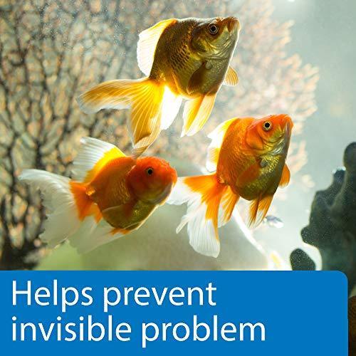 API TEST STRIPS Freshwater and Saltwater Aquarium Test Strips