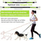 Paw Lifestyles Hands Free Dog Leash for Running Walking Training Hiking, Dual-Handle Reflective Bungee, Poop Bag Dispenser Pouch, Adjustable Waist Belt, Shock Absorbing, Ideal for Medium to Large Dogs