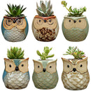 YLINGSU Cerami Succulent Cactus Plant Flower Conta 6 in Set 2.5 inch Owl Pot Ceramic Flowing Glaze Base Serial, Blue (Plants not included)