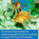 API Aquarium Salt, Promotes Fish Health and Disease Recovery in Freshwater Aquariums, Use When Changing Water, When Setting up a New Freshwater Aquarium and When Treating Fish Disease