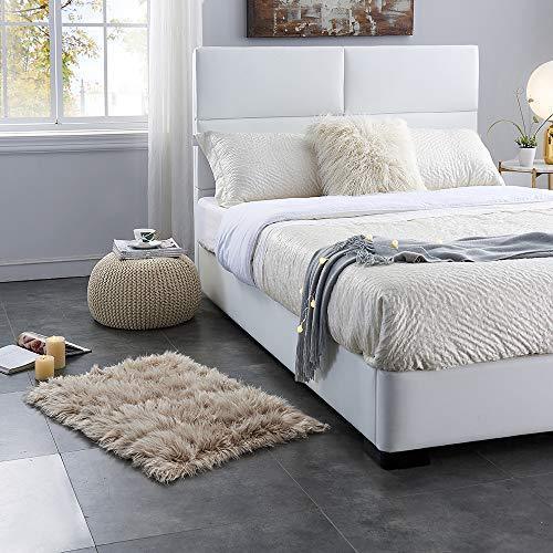 OJIA Deluxe Soft Fuzzy Fur Rugs Faux Sheepskin Shaggy Area Rugs Fluffy Modern Kids Carpet for Living Room Bedroom Sofa Bedside Decor(2 x 3ft, Grey)