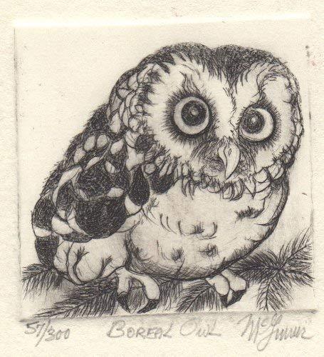 Boreal Owl