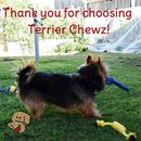 Premium Indoor and Outdoor Dog Toys Set by Terrier Chewz. Suitable Rope and Rubber Chew Toys for Small Breed Dogs and Puppys. Durable and Washable. Pack of 8