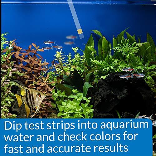 API TEST STRIPS Freshwater and Saltwater Aquarium Test Strips