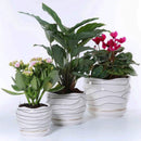 White Ceramic Flower Plant Pots Indoor Garden Plants Containers with Saucers, Set of 3