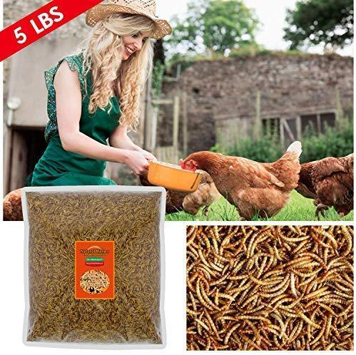 FROLIC WINGS 5 lbs Mealworms, 100 Percent Non-GMO Dried Delicious Mealworms Treats for Chickens, Wild Birds, Fish, Reptiles