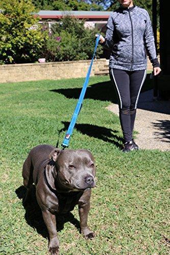 Primal Pet Gear Dog Leash 8ft Long - Traffic Padded Two Handle - Heavy Duty - Double Handles Lead for Control Safety Training - Leashes for Large Dogs or Medium Dogs - Dual Handles Leads