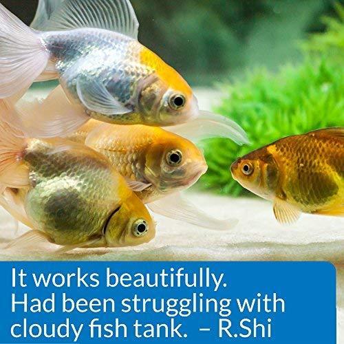 API ACCU-CLEAR Water clarifier, Clears cloudy aquarium water within several hours, Use weekly and when cloudy water is observed in freshwater aquariums only