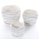 White Ceramic Flower Plant Pots Indoor Garden Plants Containers with Saucers, Set of 3