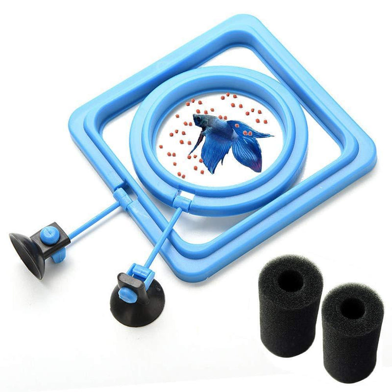 FLOURITHING 2 Pcs Fish Feeding Ring, Fish Safe Floating Food Feeder Circle Blue, with Suction Cup Easy to Install Aquarium, Square and Round Shape, for Guppy, Betta, Goldfish, Etc.