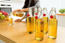 Swing Top Glass Bottles - Flip Top Brewing Bottles For Kombucha, Kefir, Beer - Clear Color - 16oz Size - Set of 6 - Leak Proof Easy Caps, Bonus Gaskets, Chalkboard Labels and Pen - Fast Clean Design by Otis Classic
