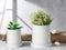 MoonLa Plant Pots - 5.7 + 4.8 Inch White Matt Ceramic Planter for Flower, Cactus, Succulent Planting, with Drainage Hole & Saucer, Set of 2 (Plants Not Included)