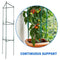 EasyGO Products EGP-GARD-020 Cages – Stakes-Vegetable Trellis-3 Pack Tomato Plant