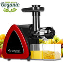 Aobosi Slow Masticating Juicer Extractor Compact Cold Press Juicer Machine with Portable Handle/Quiet Motor/Reverse Function/Juice Jug and Clean Brush for High Nutrient Fruit & Vegetable Juice