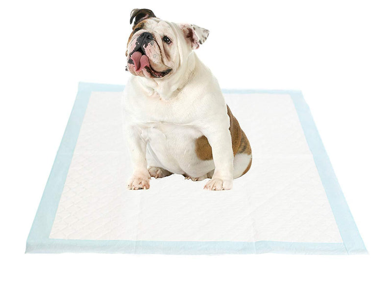 Select Companion Puppy Pee Pads with Scent Remover, 23 by 22 Inches - Pack of 100