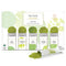 Tea Forte Organic Matcha Green Tea, Stone Ground Culinary Grade Green Tea Matcha (Matcha Sampler)