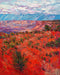 Canyonlands Vista