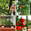 EasyGO Products EGP-GARD-020 Cages – Stakes-Vegetable Trellis-3 Pack Tomato Plant