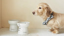 Necoichi Raised Dog Food Bowl, Stress Free, Dishwasher and Microwave Safe, Lead & Cadmium Free, Made to FDA/EC&ECC European Standard