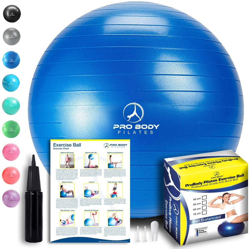 Exercise Ball - Professional Grade Anti-Burst Fitness, Balance Ball for Pilates, Yoga, Birthing, Stability Gym Workout Training and Physical Therapy