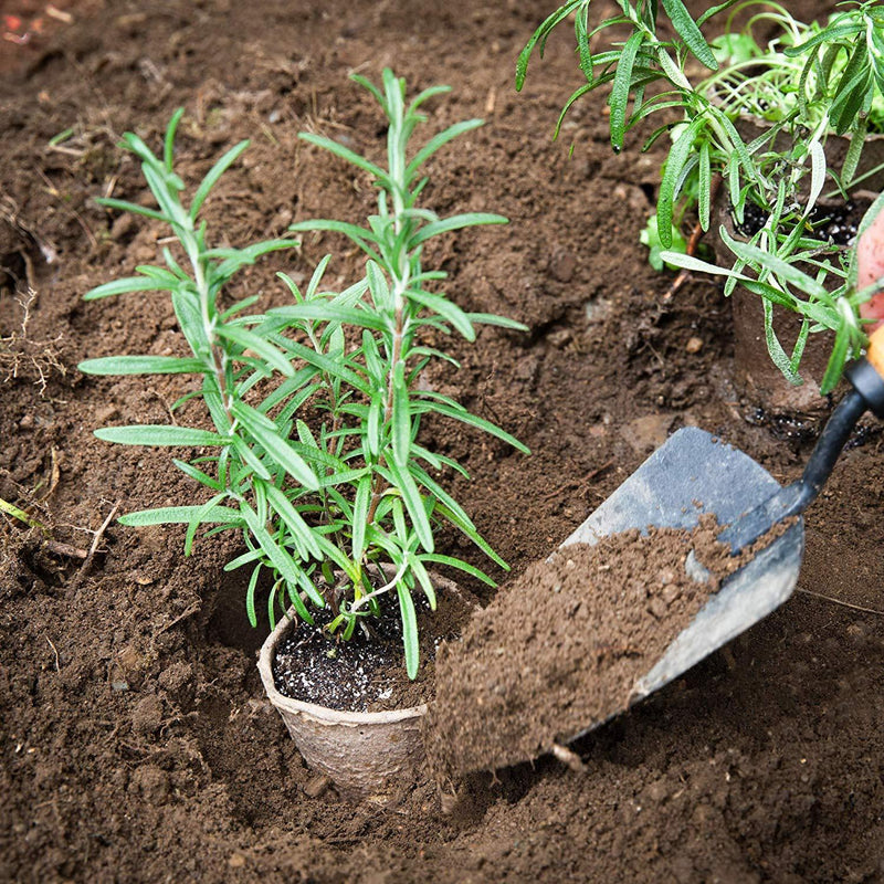 100 Recycled Paper Planting peat Pot 3"- Perfect for Starting Seeds and transferring to Garden Without Damage to Roots. 100% Biodegradable and eco Friendly.