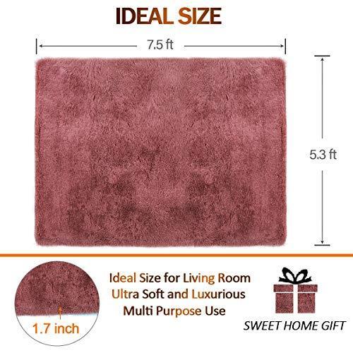 PAGISOFE Ultra Soft 4.5cm Velvet Bedroom Rugs Kids Room Carpet Modern Shaggy Area Rugs Home Decor 2.6' X 5.3', Hot-Pink