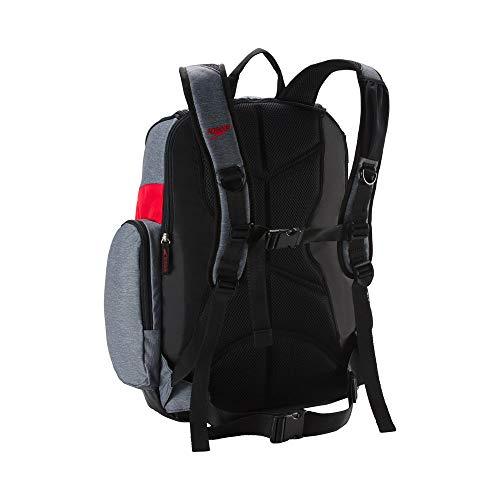 Speedo Large Teamster Backpack, 35-Liter