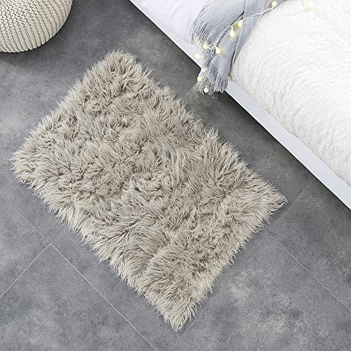 OJIA Deluxe Soft Fuzzy Fur Rugs Faux Sheepskin Shaggy Area Rugs Fluffy Modern Kids Carpet for Living Room Bedroom Sofa Bedside Decor(2 x 3ft, Grey)