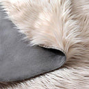 OJIA Deluxe Soft Fuzzy Fur Rugs Faux Sheepskin Shaggy Area Rugs Fluffy Modern Kids Carpet for Living Room Bedroom Sofa Bedside Decor(2 x 3ft, Grey)